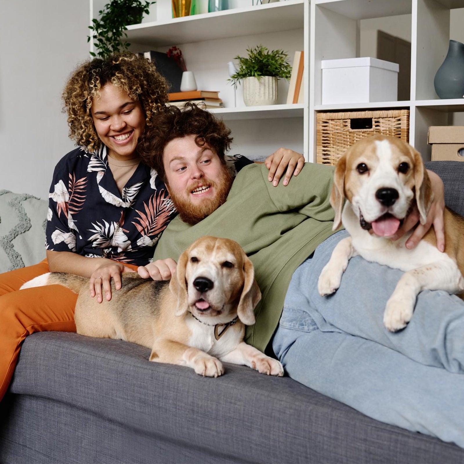 Dog Parent customer review